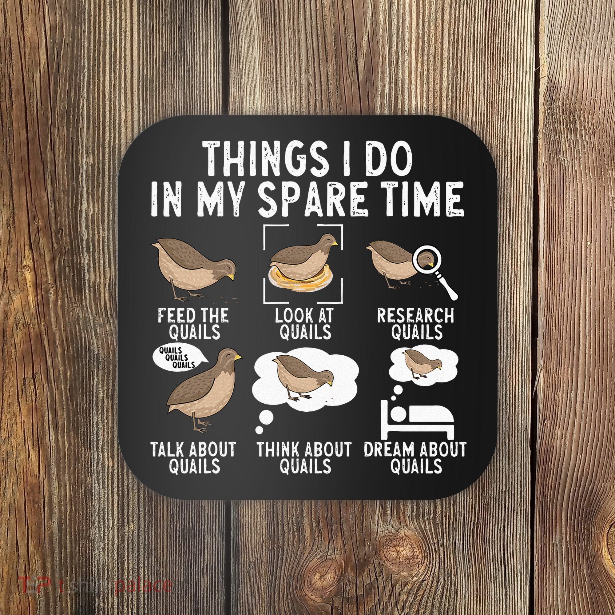 Quail Bird Lover Things I Do In My Spare Time Quail Coaster