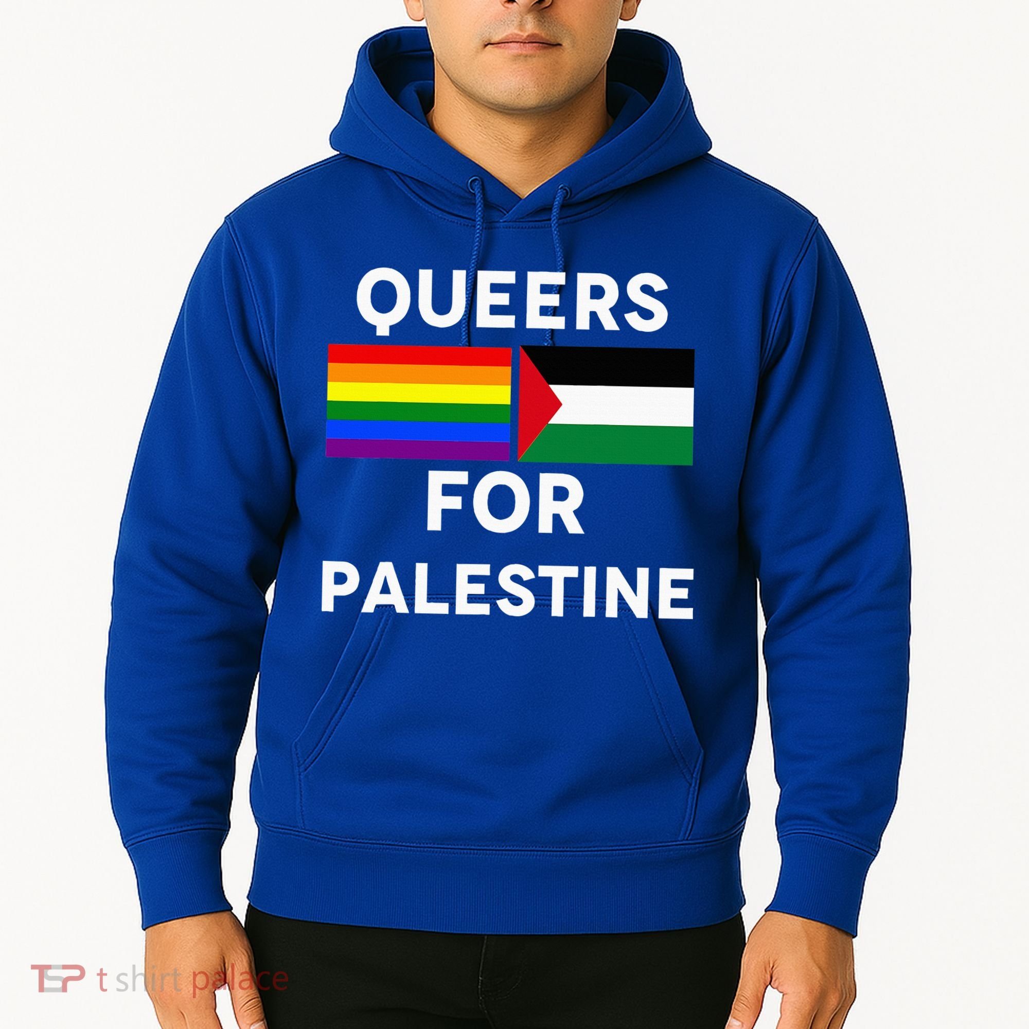 Queers For Palestine Hoodie