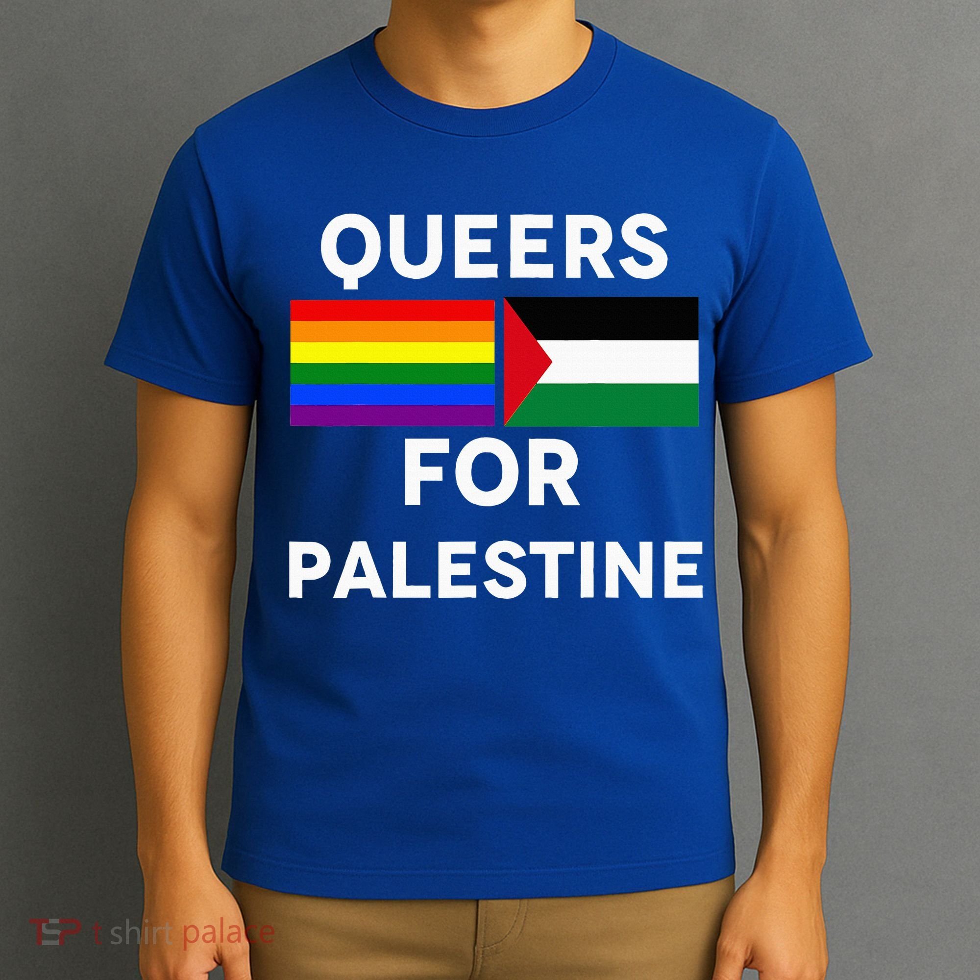 Queers For Palestine T-Shirt
