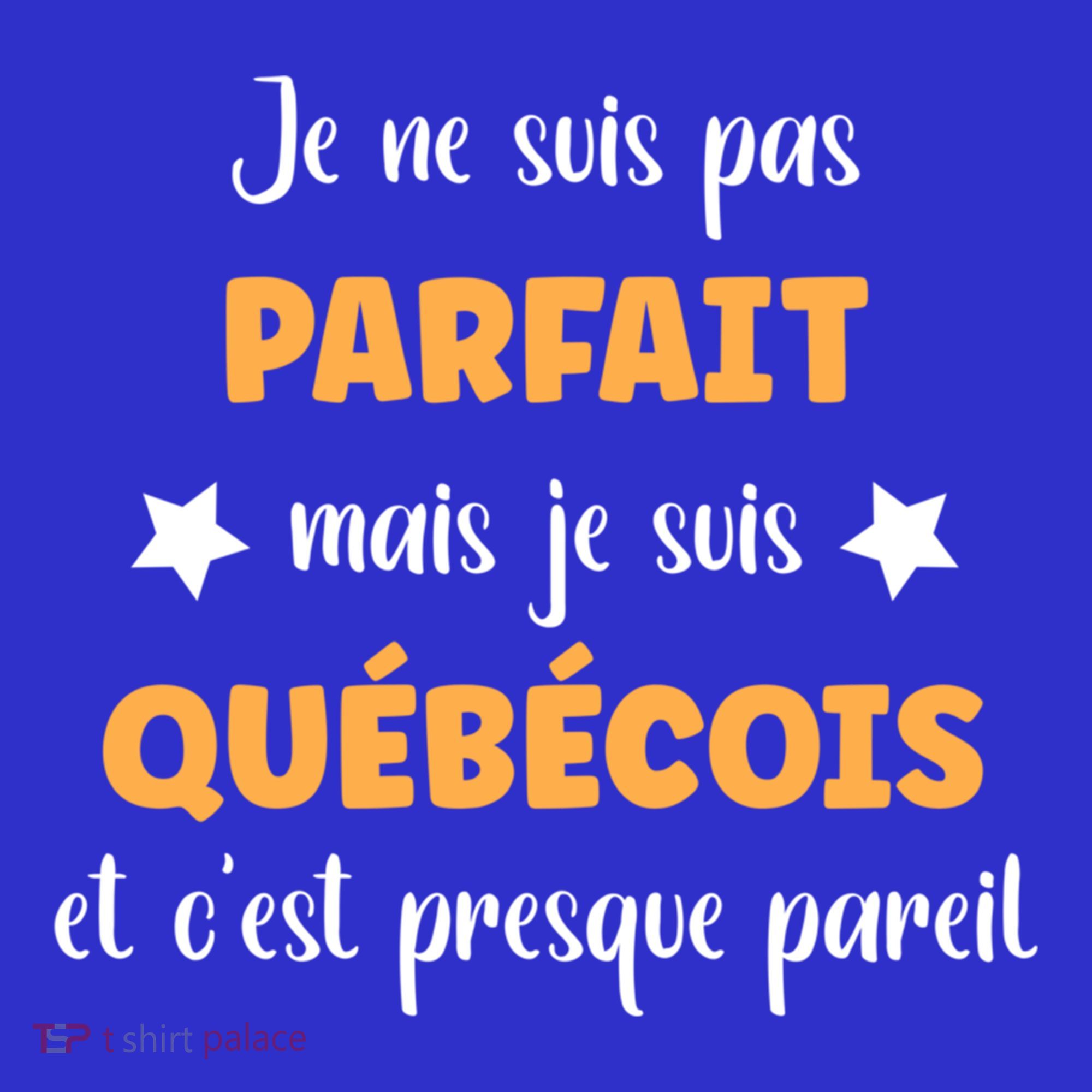 QuéBec Humour Homme Je Suis QuéBéCois Gift Hoodie