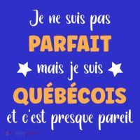 QuéBec Humour Homme Je Suis QuéBéCois Gift Tank Top thumb 6