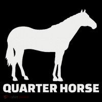 Quarter Horse Women's Hoodie thumb 2