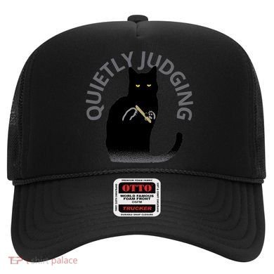Quietly Judging Cat Funny Hat