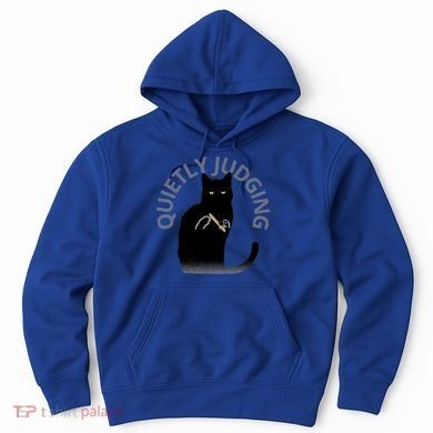 Quietly Judging Cat Funny Hoodie