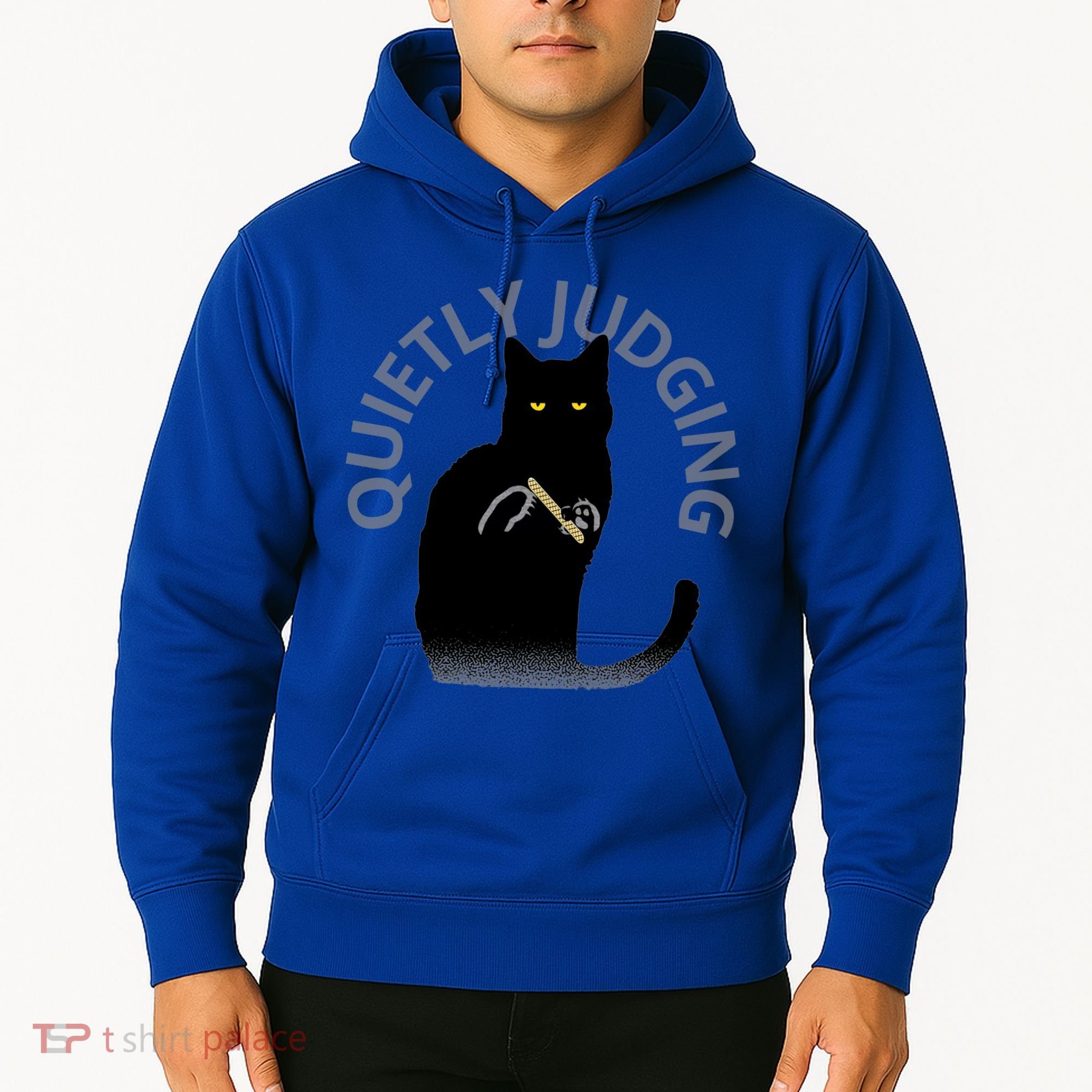 Quietly Judging Cat Funny Hoodie