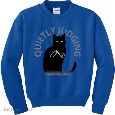 Quietly Judging Cat Funny Kids Sweatshirt