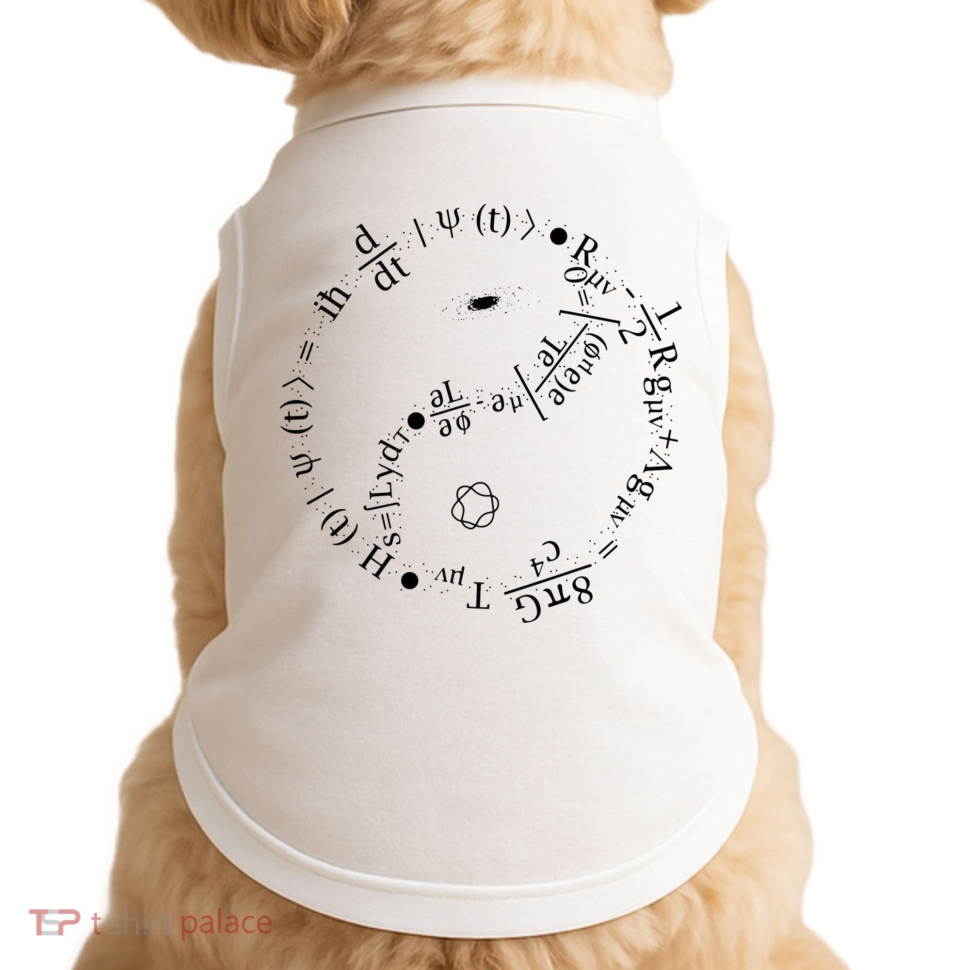 Quantum Mechanics Formula String Theory Maths Universe Doggie Tank
