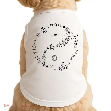 Quantum Mechanics Formula String Theory Maths Universe Doggie Tank