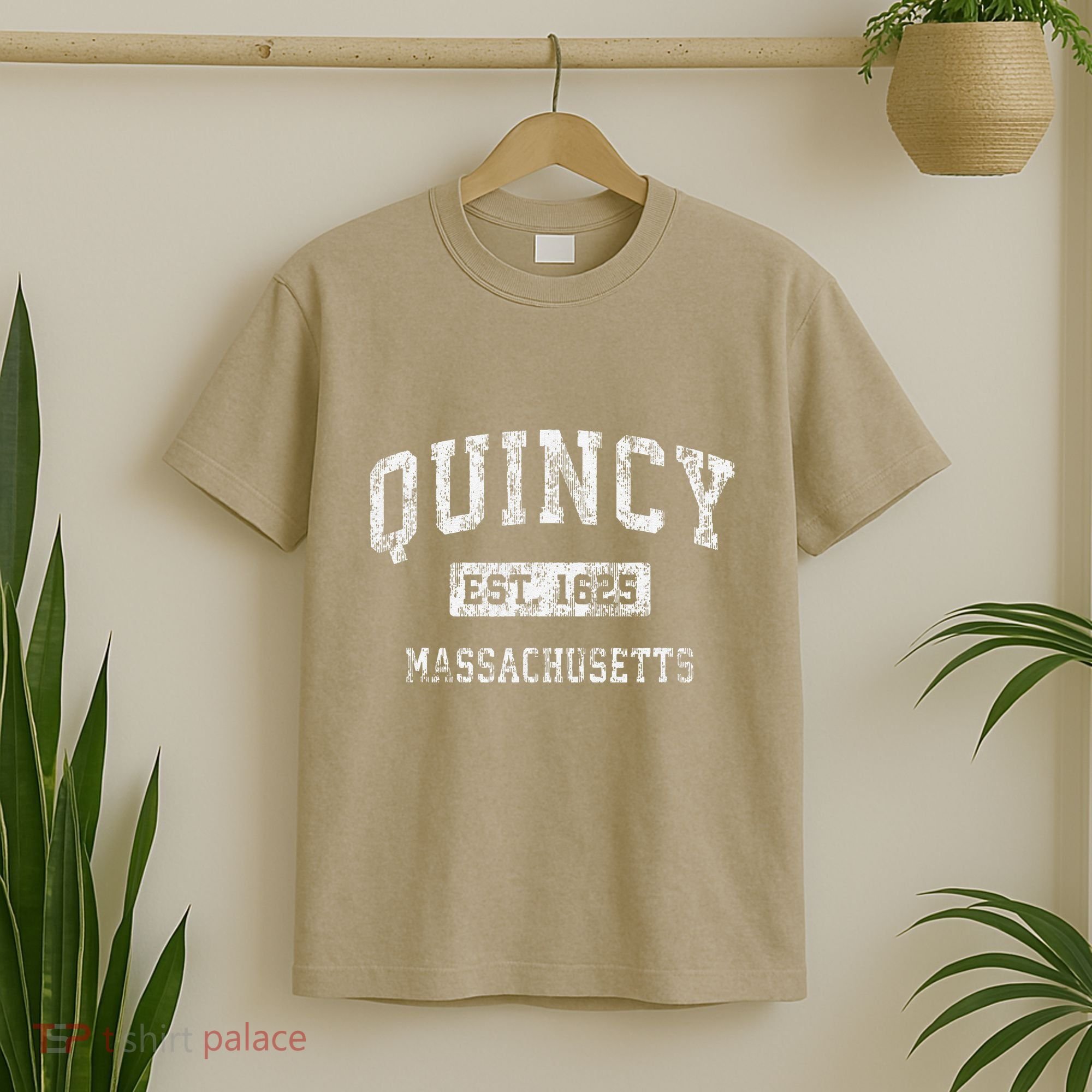 Quincy Massachusetts Ma Vintage Established T-Shirt