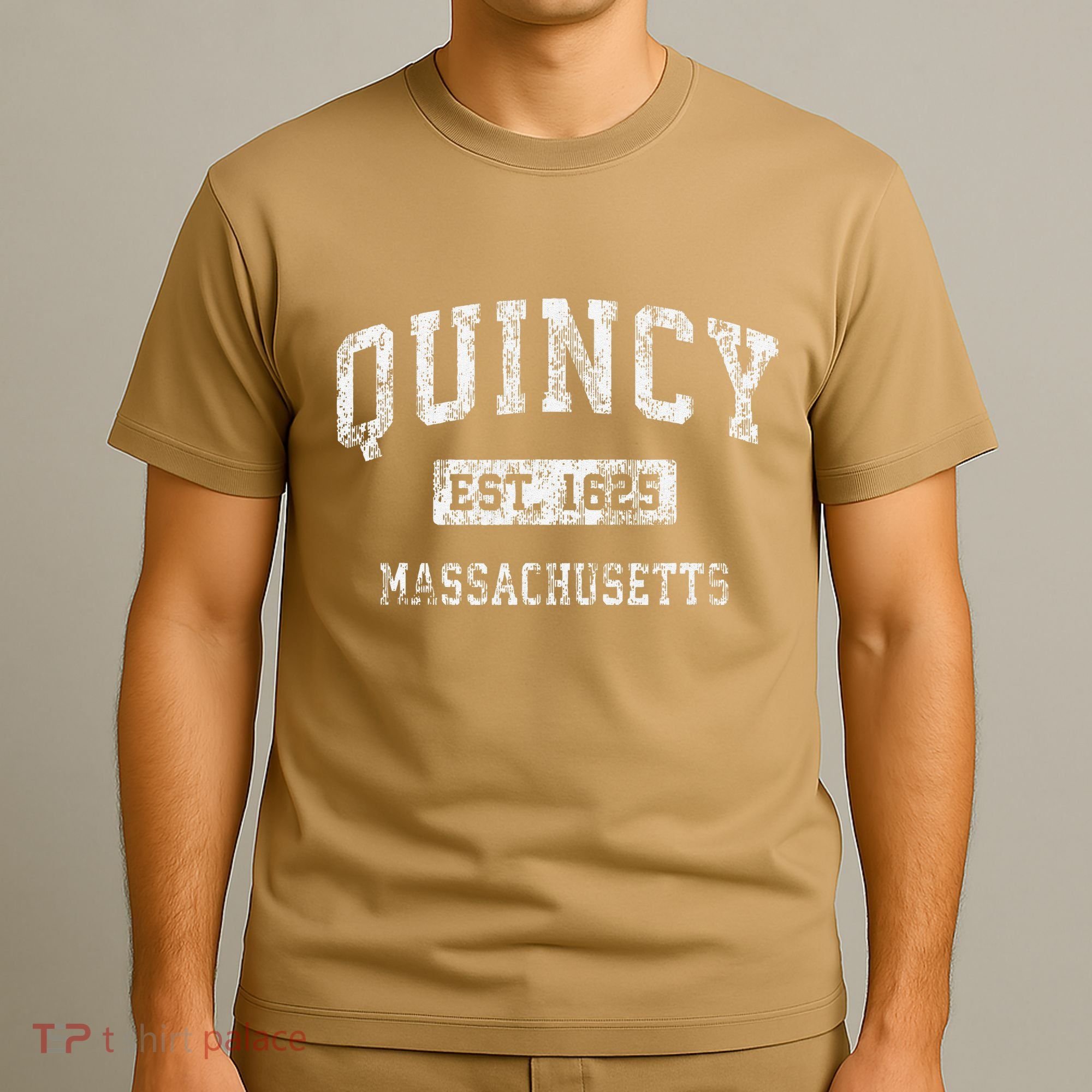 Quincy Massachusetts Ma Vintage Established T-Shirt