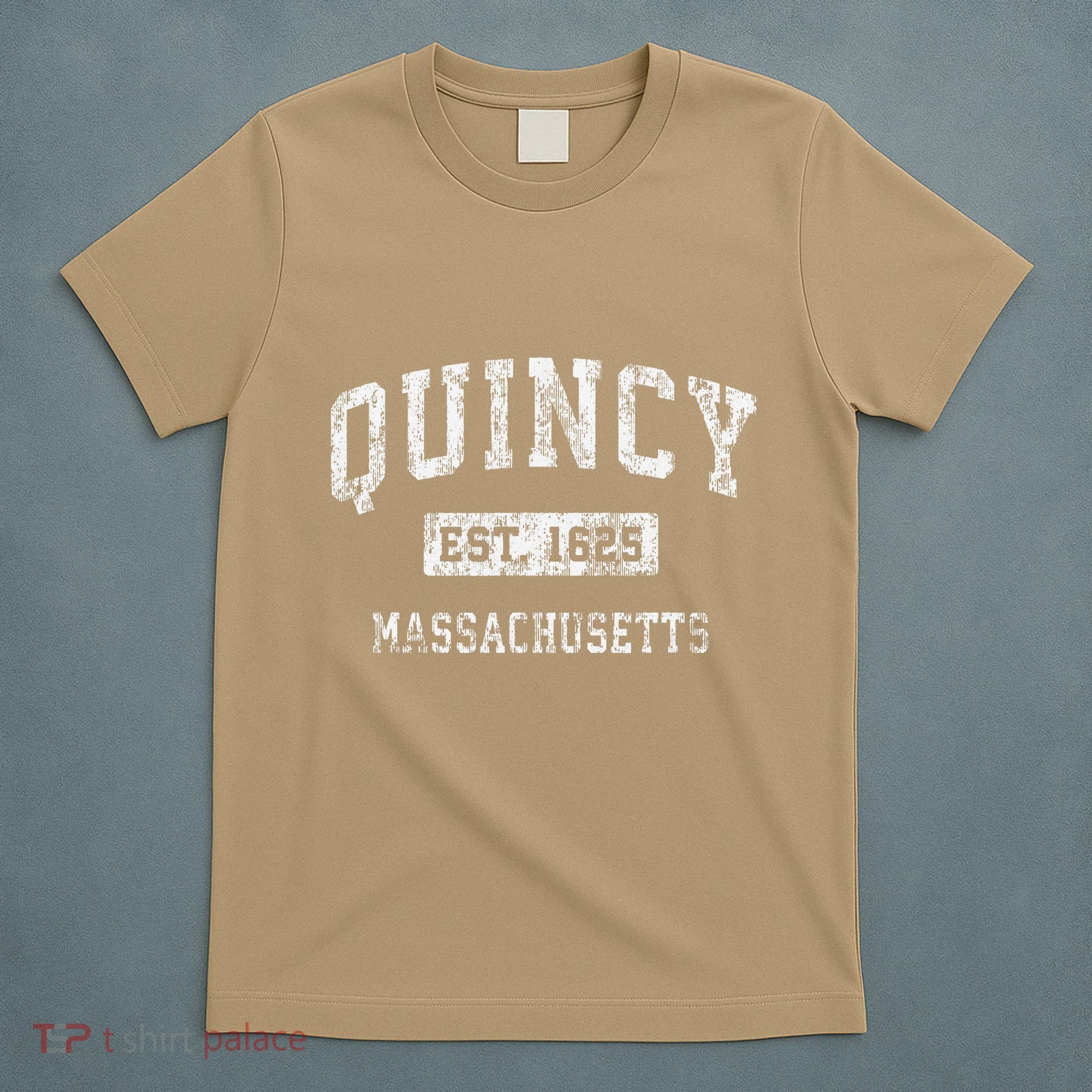 Quincy Massachusetts Ma Vintage Established T-Shirt