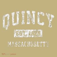 Quincy Massachusetts Ma Vintage Established T-Shirt thumb 7