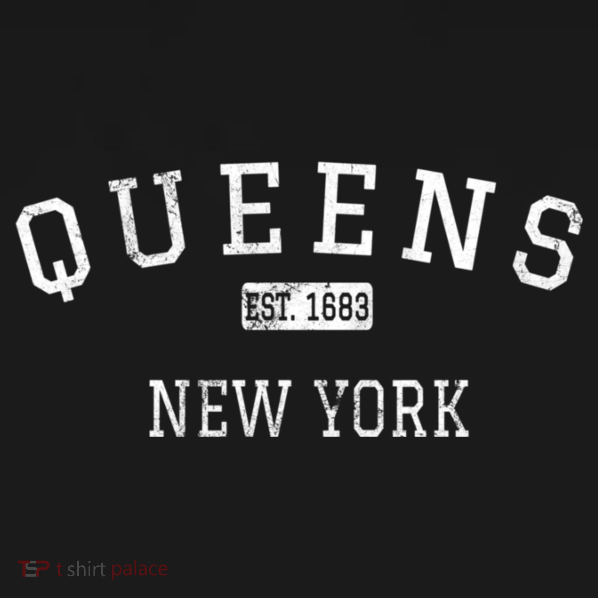 Queens New York Ny Vintage Established T-Shirt