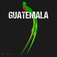 Quetzal The National Bird Of Guatemala Women's Tank Top thumb 5