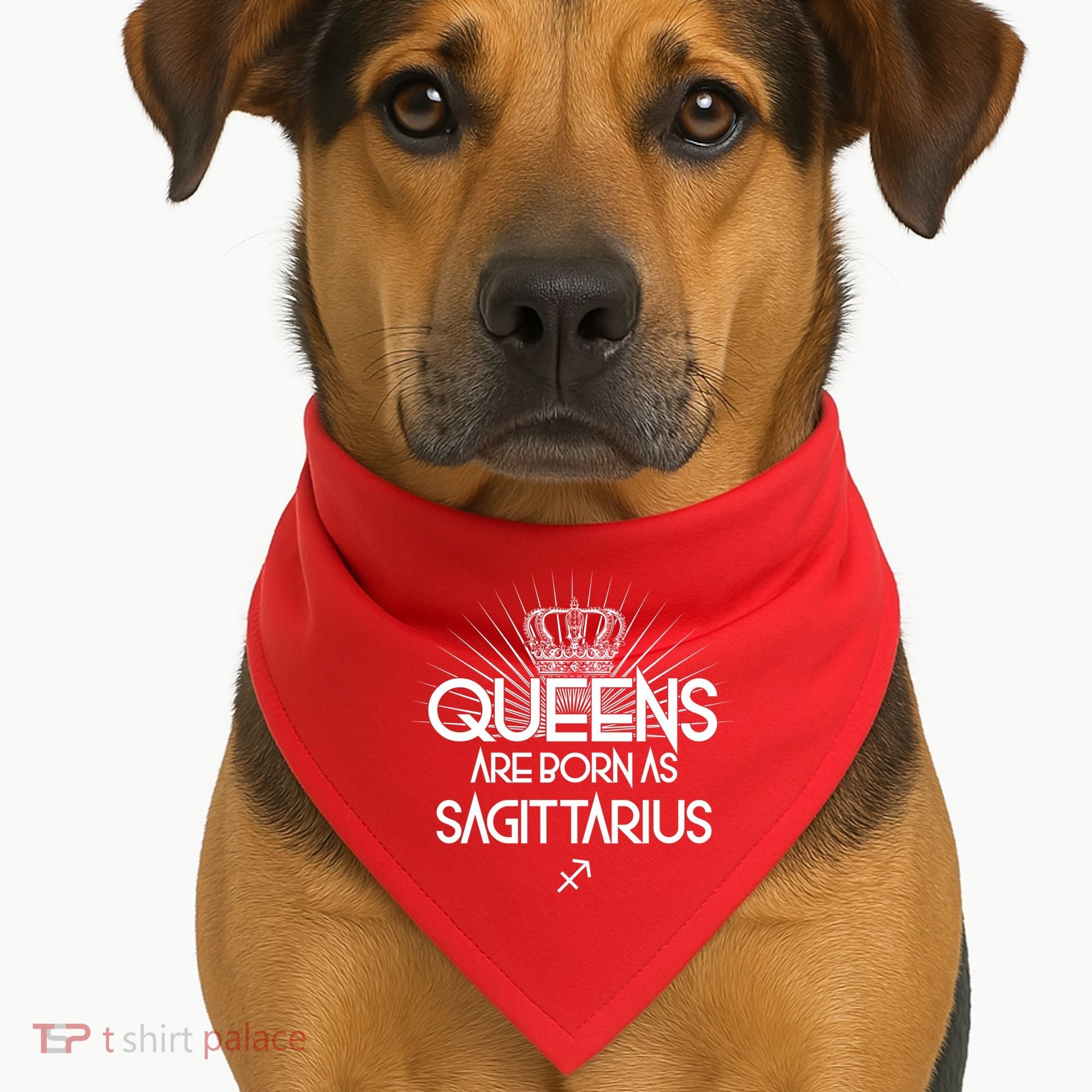 Queens Are Born As Sagittarius USA-Made Doggie Bandana