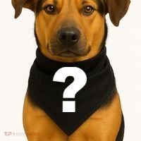 Question Mark Logo USA-Made Doggie Bandana thumb 1