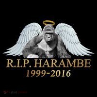 R.I.P. Harambe Our Angel In Heaven 1999-2016 Coffee Mug thumb 5