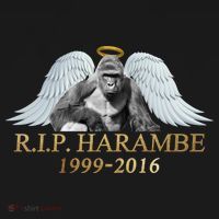 R.I.P. Harambe Our Angel In Heaven 1999-2016 Women's Tank Top thumb 5