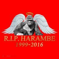 R.I.P. Harambe Our Angel In Heaven 1999-2016 Santa Hat thumb 1