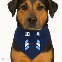 Retro 10 Argentina Jersey Argentinian Soccer Flag USA-Made Doggie Bandana thumb 1