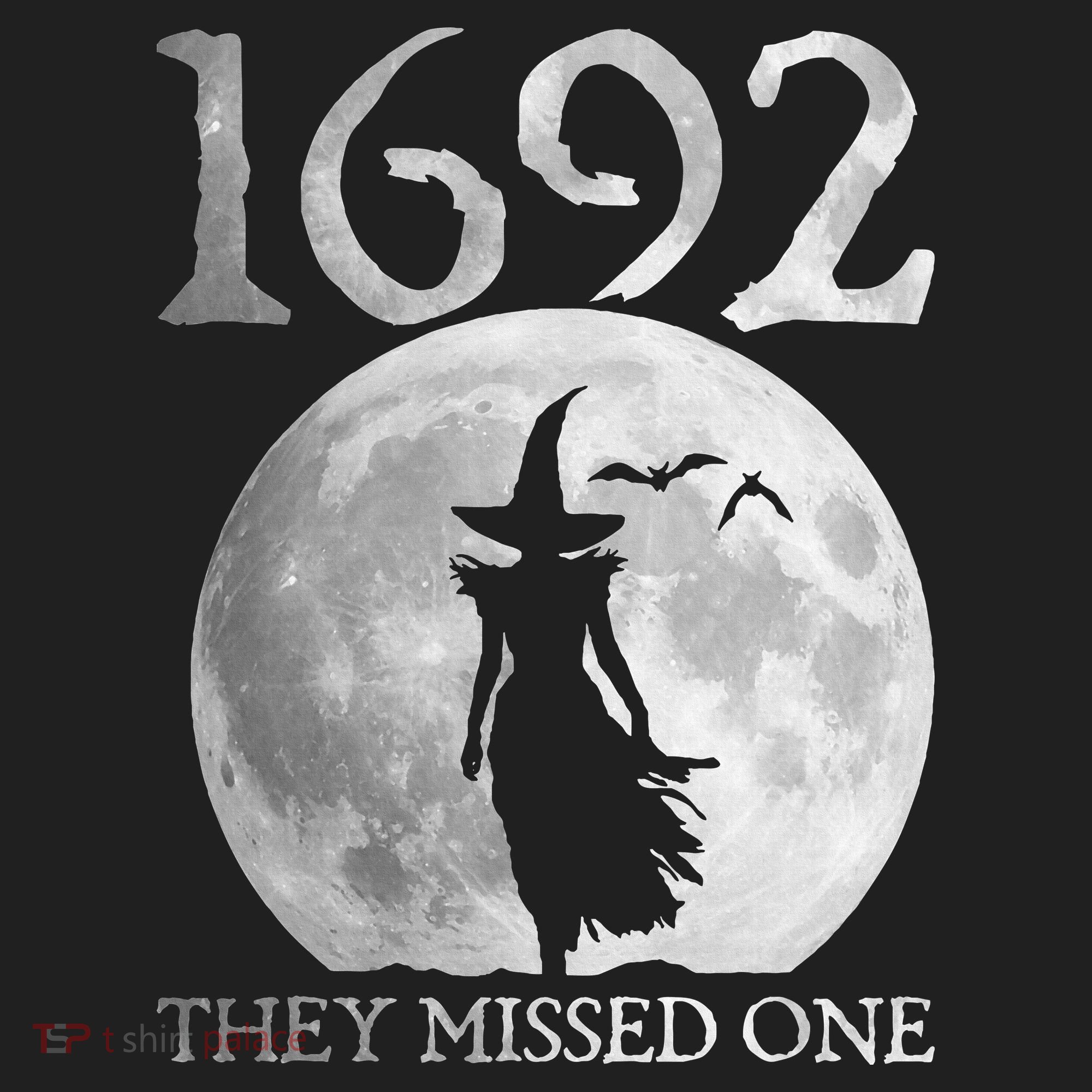 Retro 1692 They Missed One Witch Salem 1692 Halloween Witch Hat