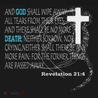 Revelation 214 Button thumb 1