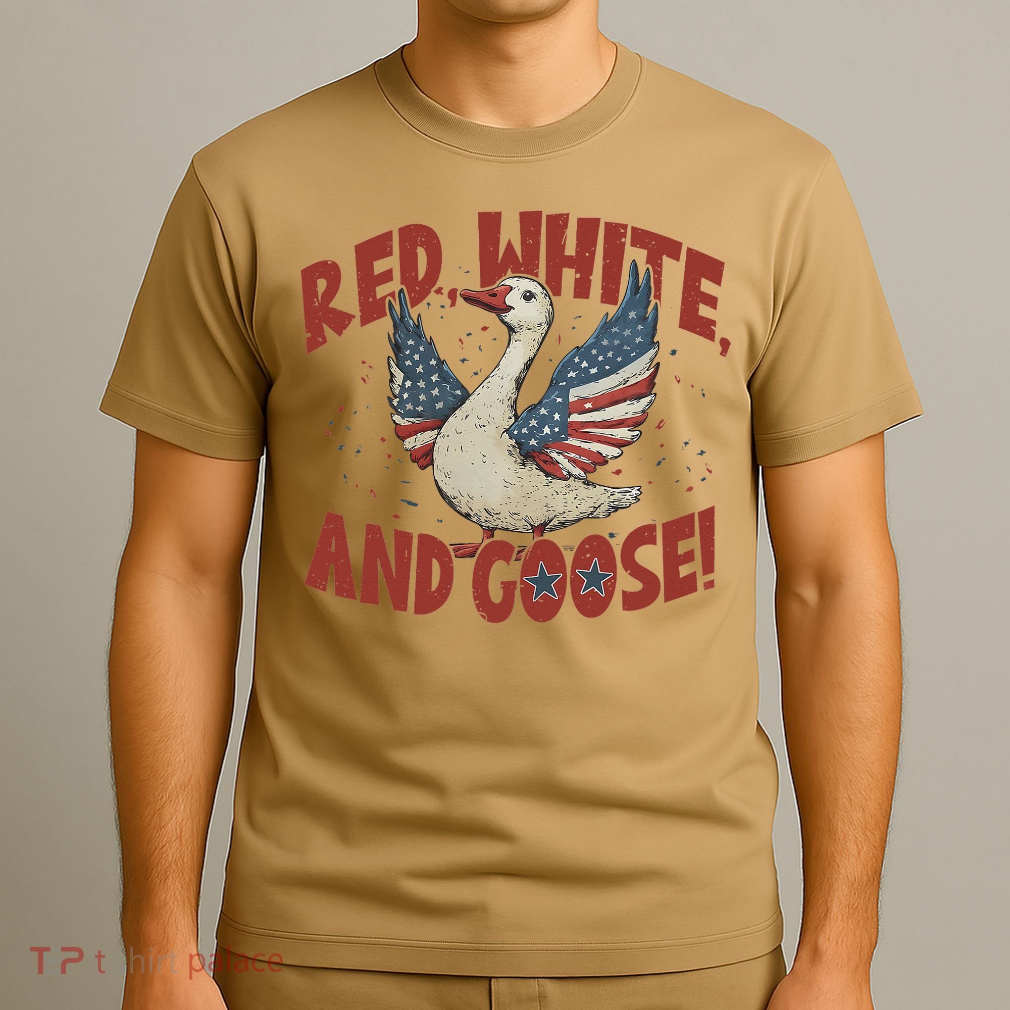 Retro 4th Of July Goose America Coquette Memorial Day Gifts T-Shirt
