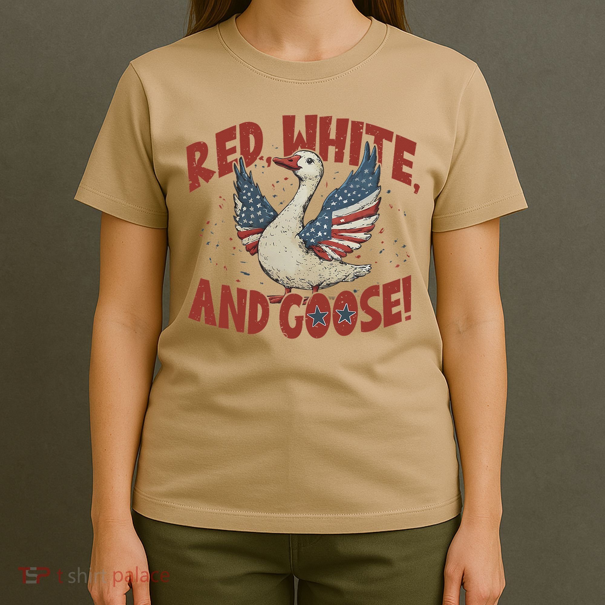 Retro 4th Of July Goose America Coquette Memorial Day Gifts T-Shirt