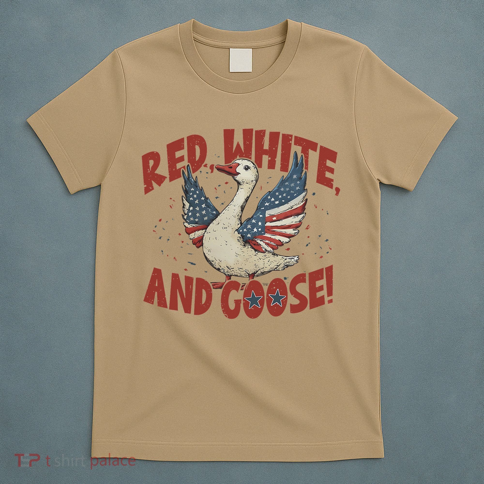 Retro 4th Of July Goose America Coquette Memorial Day Gifts T-Shirt