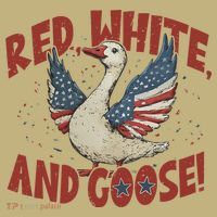Retro 4th Of July Goose America Coquette Memorial Day Gifts T-Shirt thumb 7