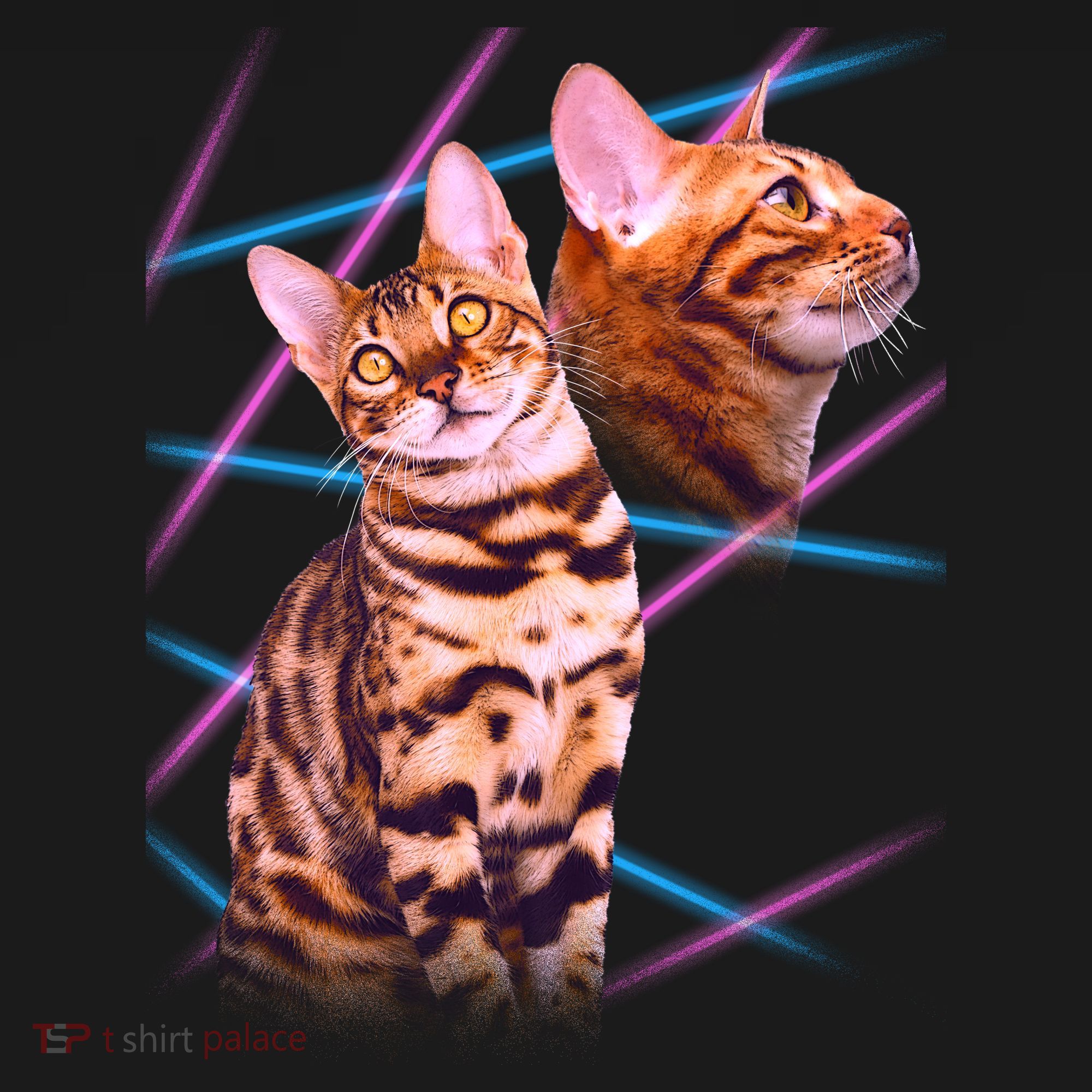 Retro 80s Eighties Lasers Double Exsposure Cat Coaster