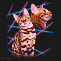 Retro 80s Eighties Lasers Double Exsposure Cat Toddler Hoodie thumb 2