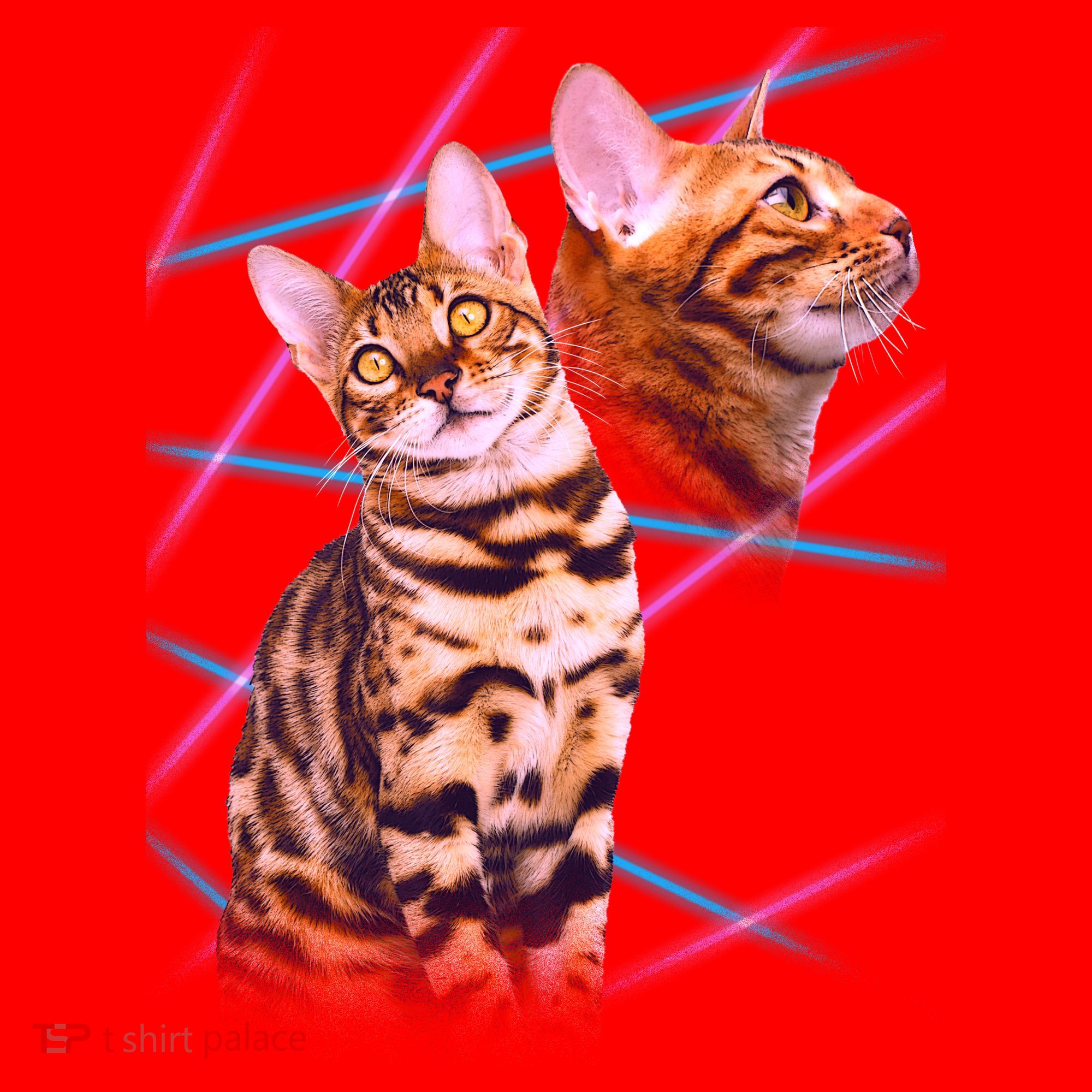 Retro 80s Eighties Lasers Double Exsposure Cat Santa Hat