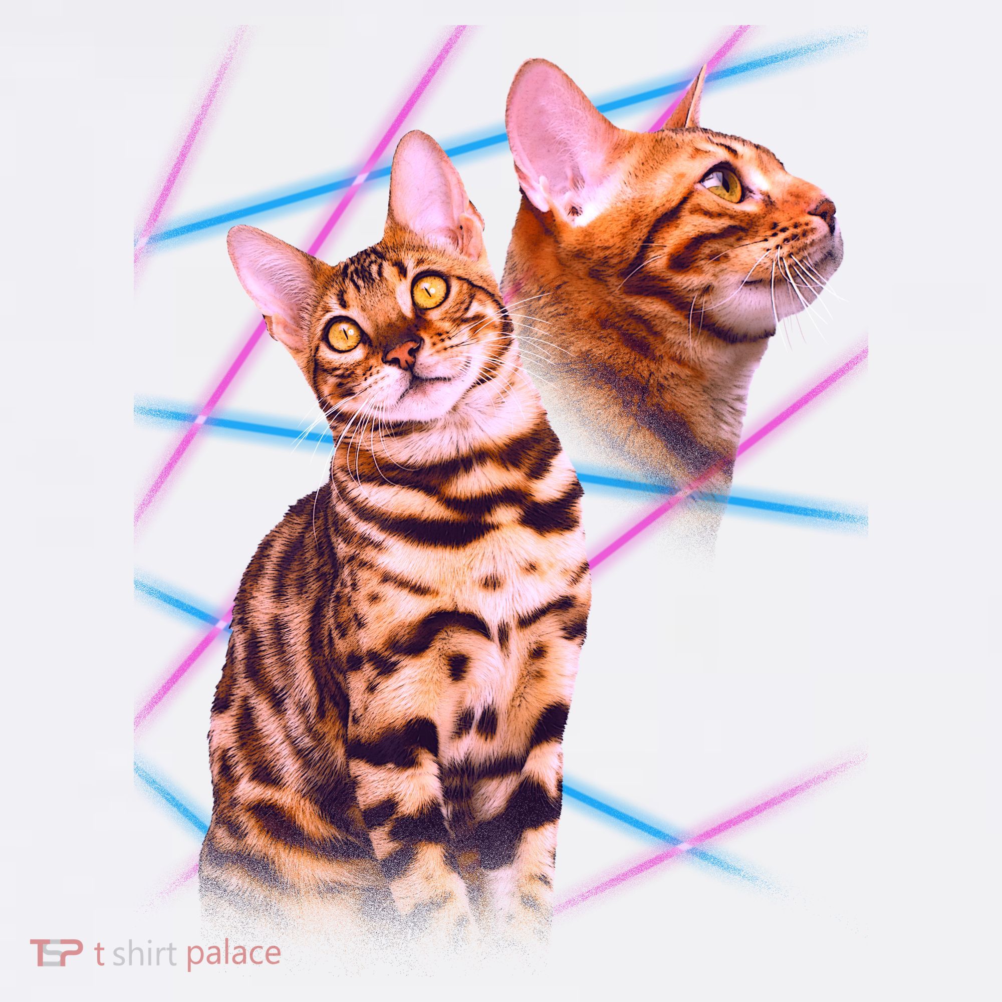 Retro 80s Eighties Lasers Double Exsposure Cat Beanie