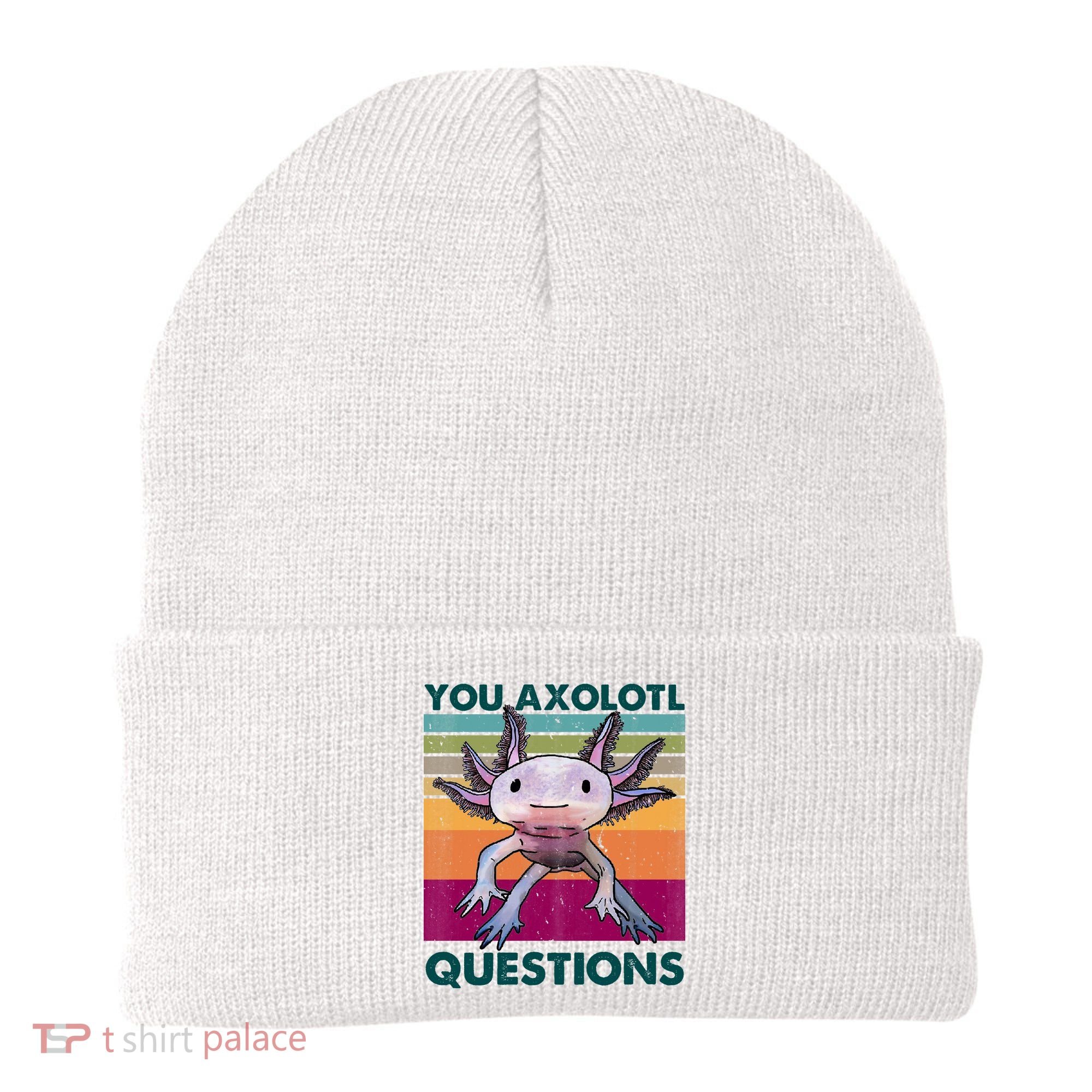 Retro 90s Axolotl Funny You Axolotl Questions Beanie