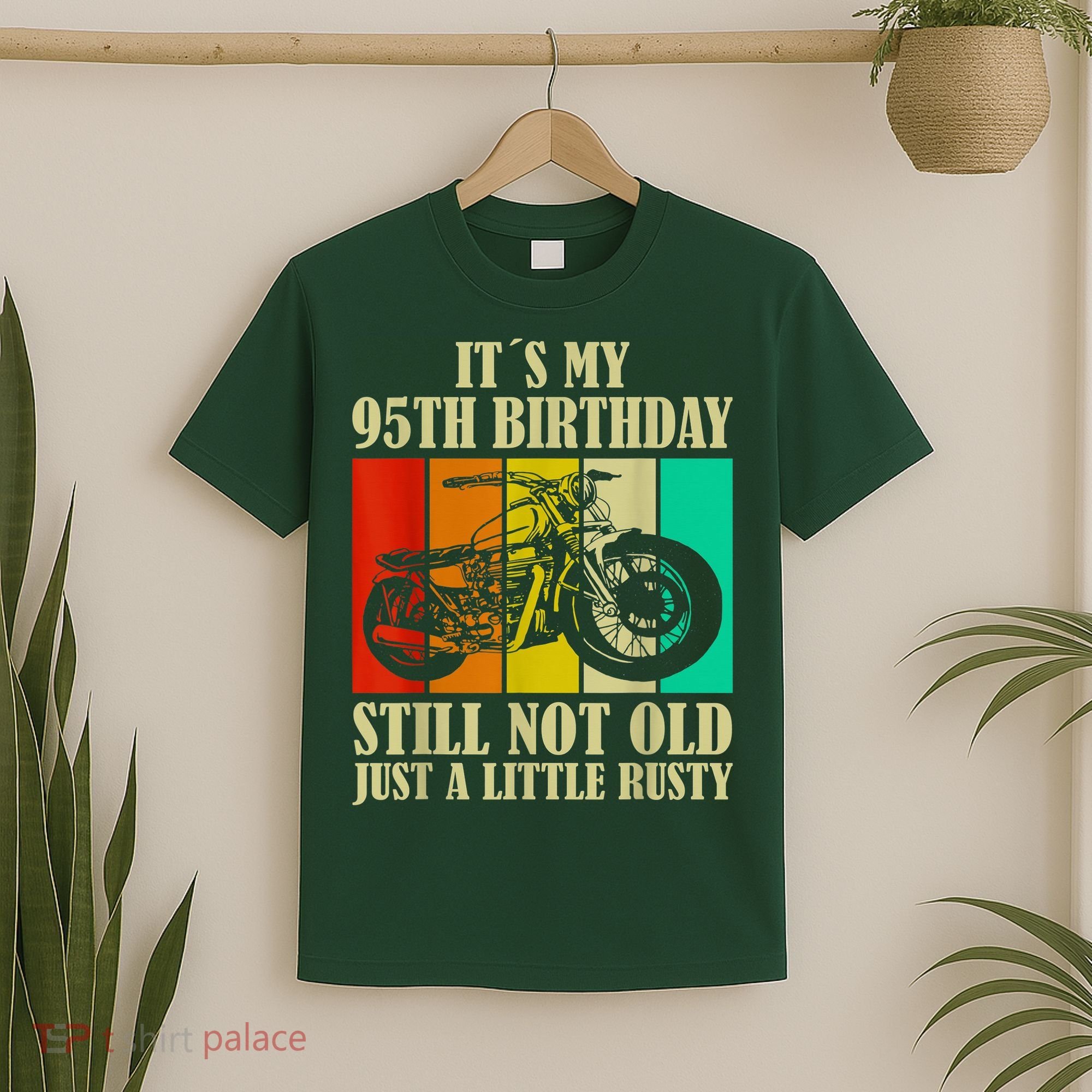 Retro 95th Birthday I Vintage 95 Year Old Special Edition T-Shirt