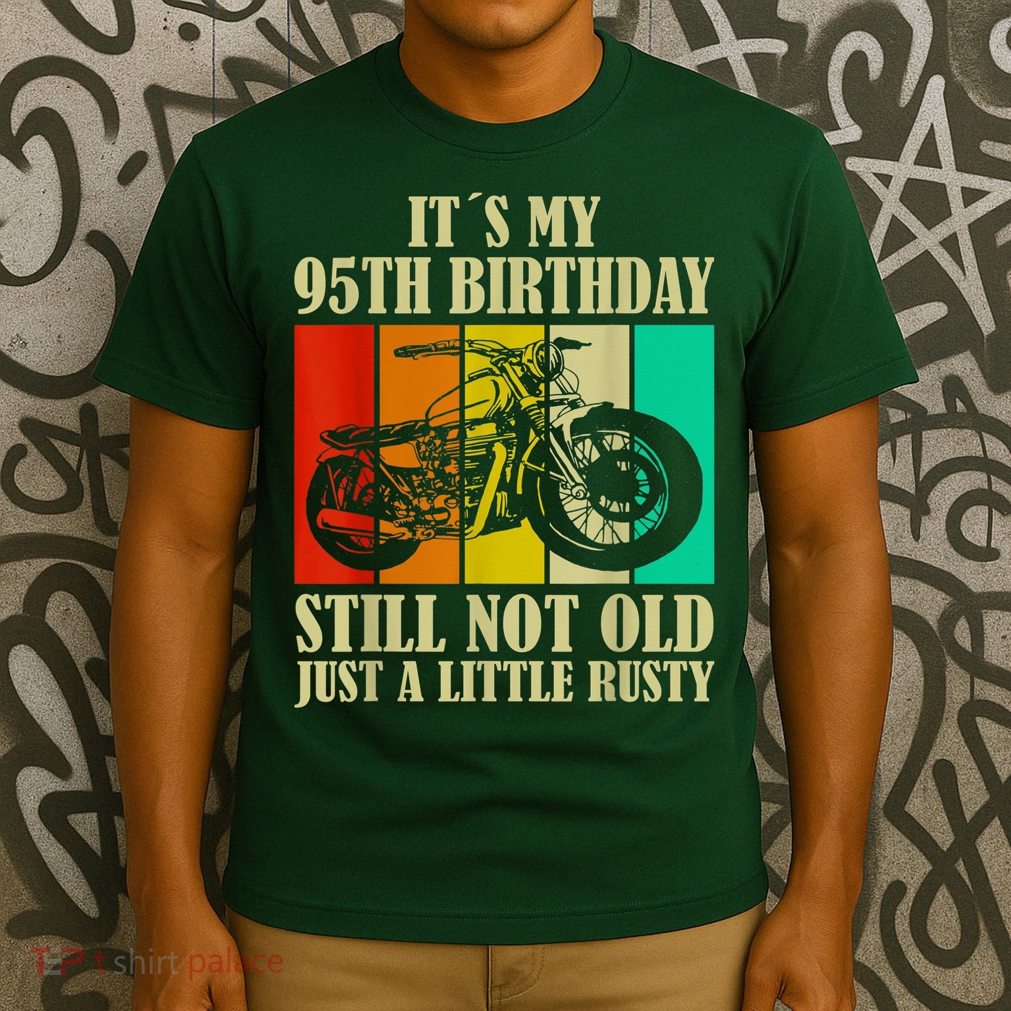 Retro 95th Birthday I Vintage 95 Year Old Special Edition T-Shirt