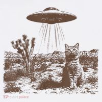 Retro 90s Western Vintage Ufo Cowboy Cat Wild West Kitten T-Shirt thumb 7