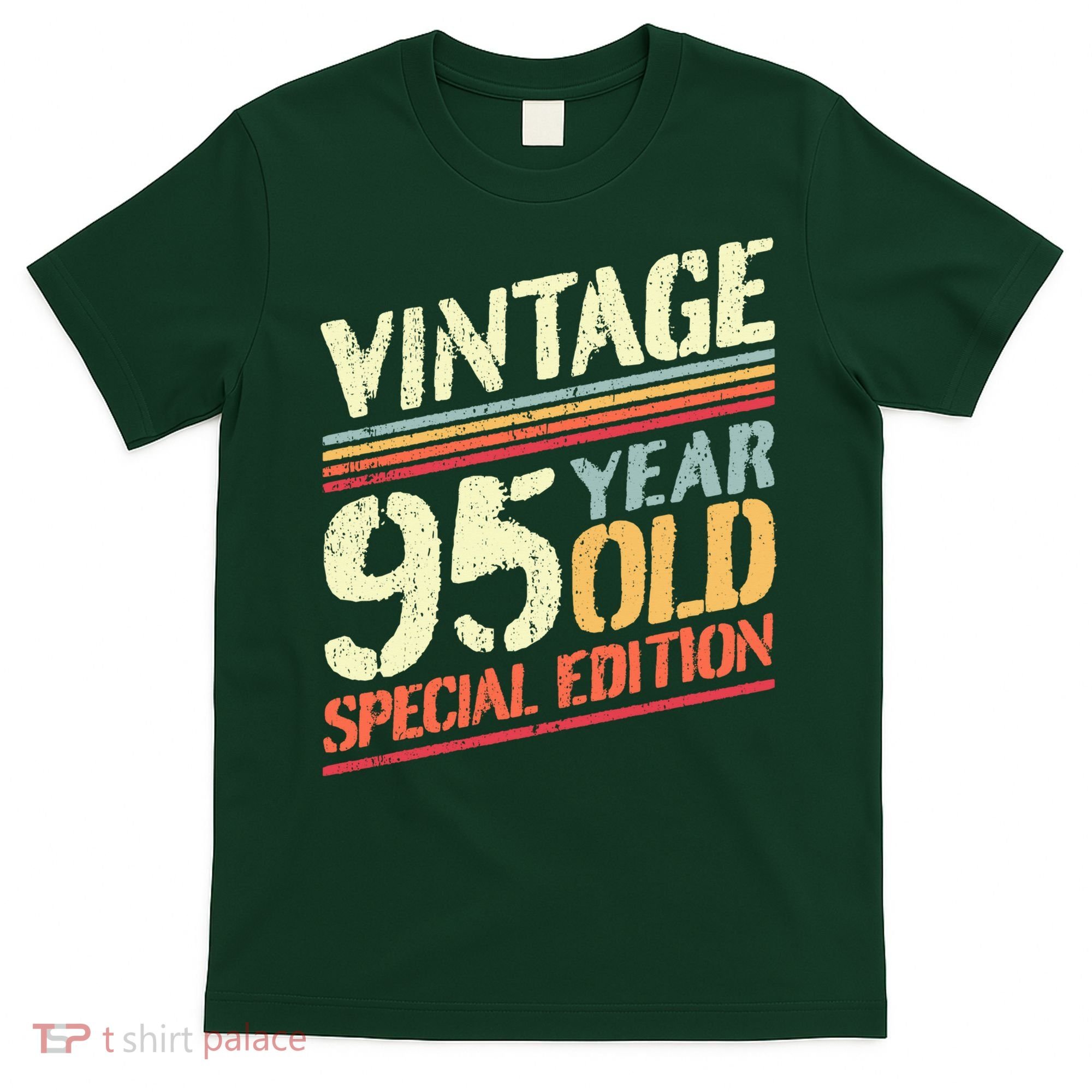 Retro 95 Years Old Vintage Cheese 95th Birthday T-Shirt