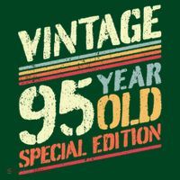 Retro 95 Years Old Vintage Cheese 95th Birthday T-Shirt thumb 7