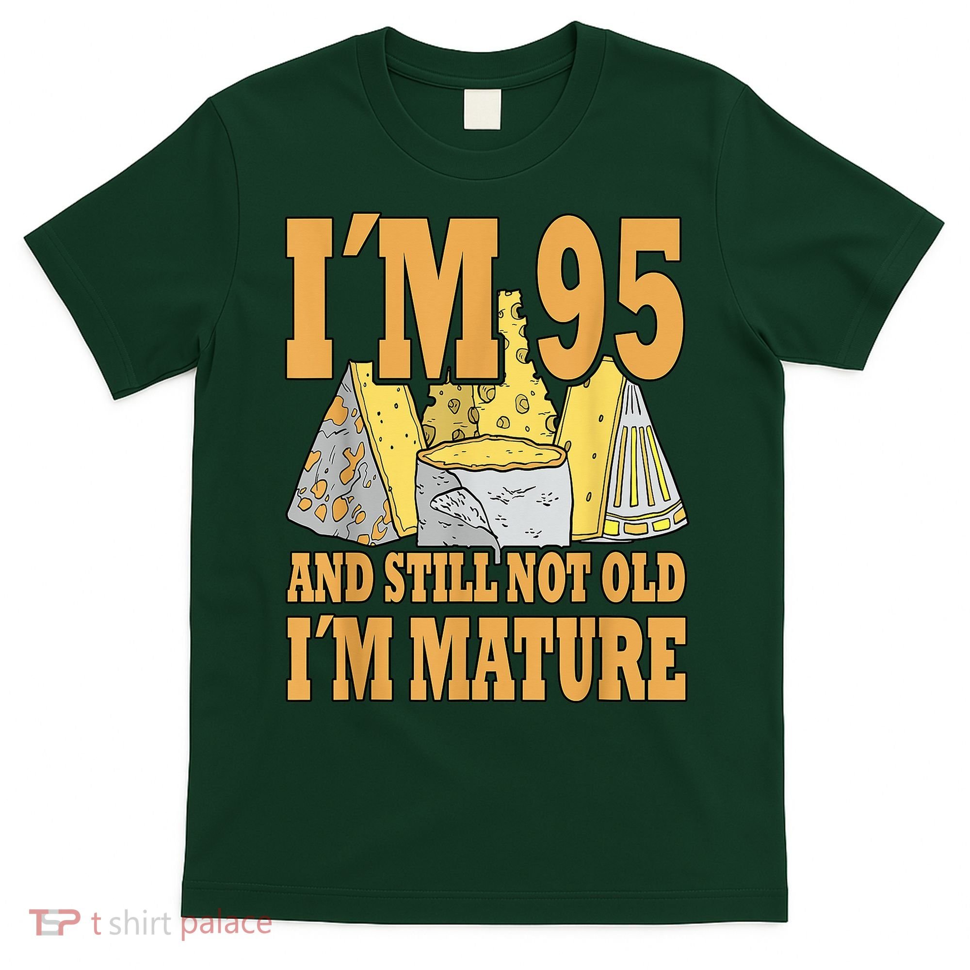 Retro 95 Years Old Vintage Cheese 95th Birthday T-Shirt
