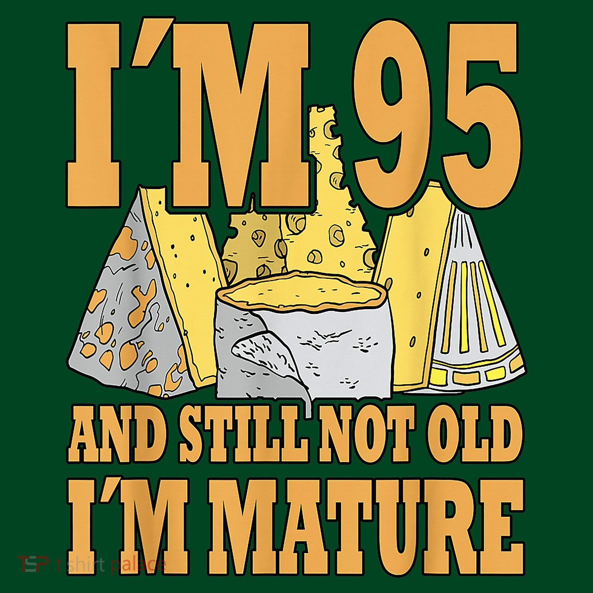 Retro 95 Years Old Vintage Cheese 95th Birthday T-Shirt