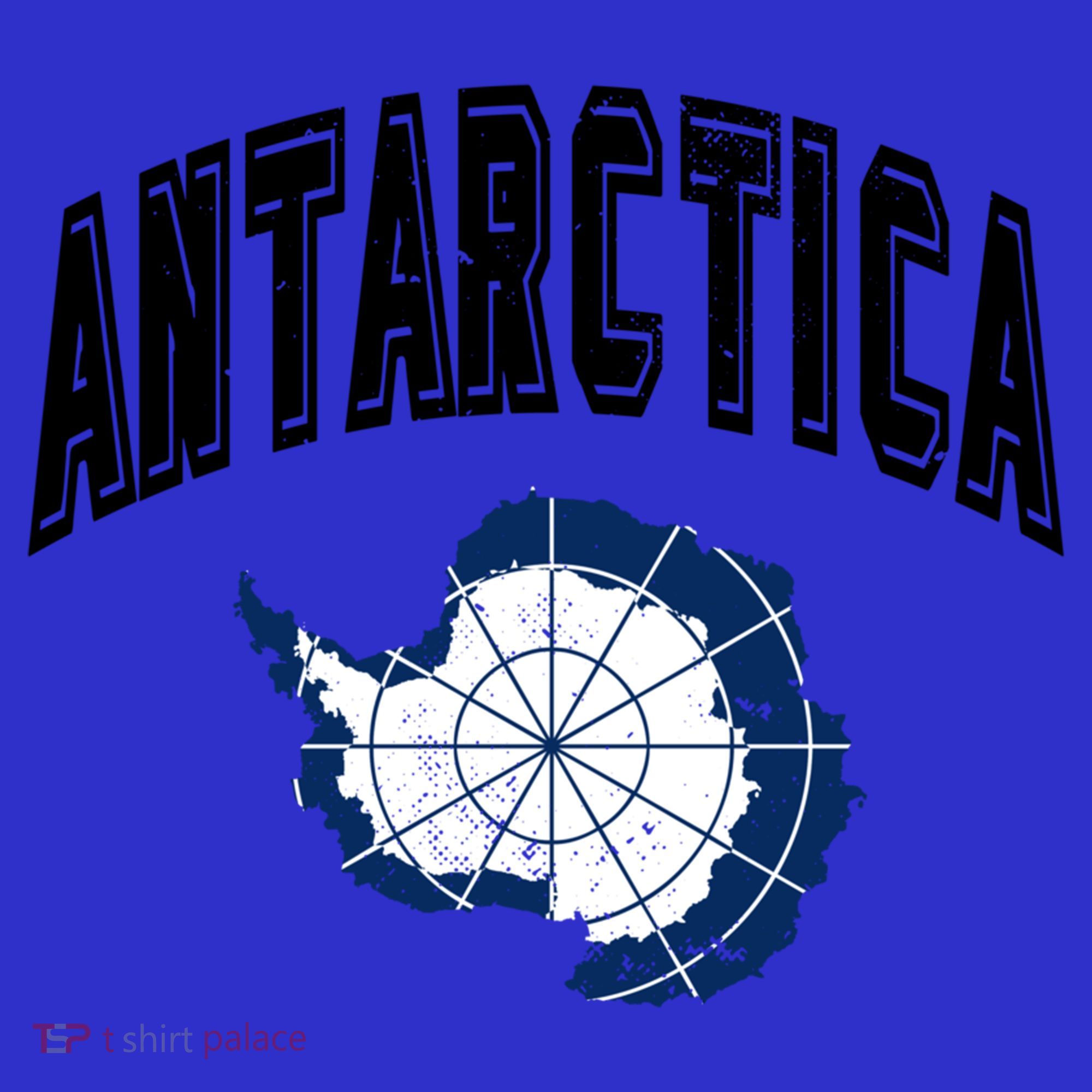 Retro Antarctica Athletic Map And Flag Meaningful Gift Women's Long Sleeve Shirt