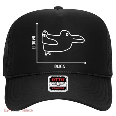 Rabbit Duck Diagram Chart Hat