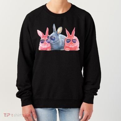 Rabbit Galaxy Cool Women's Sweatshirt