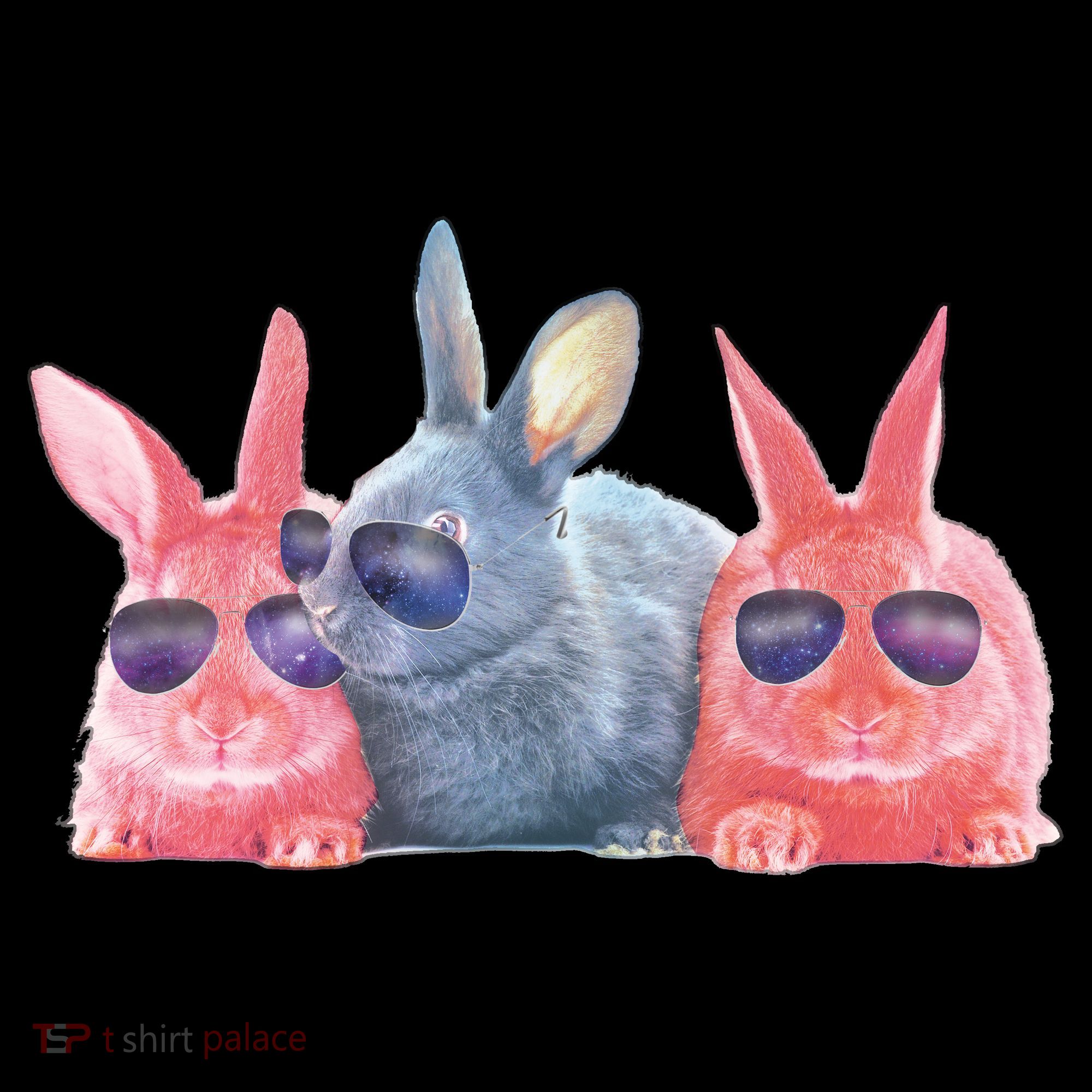 Rabbit Galaxy Cool Ornament