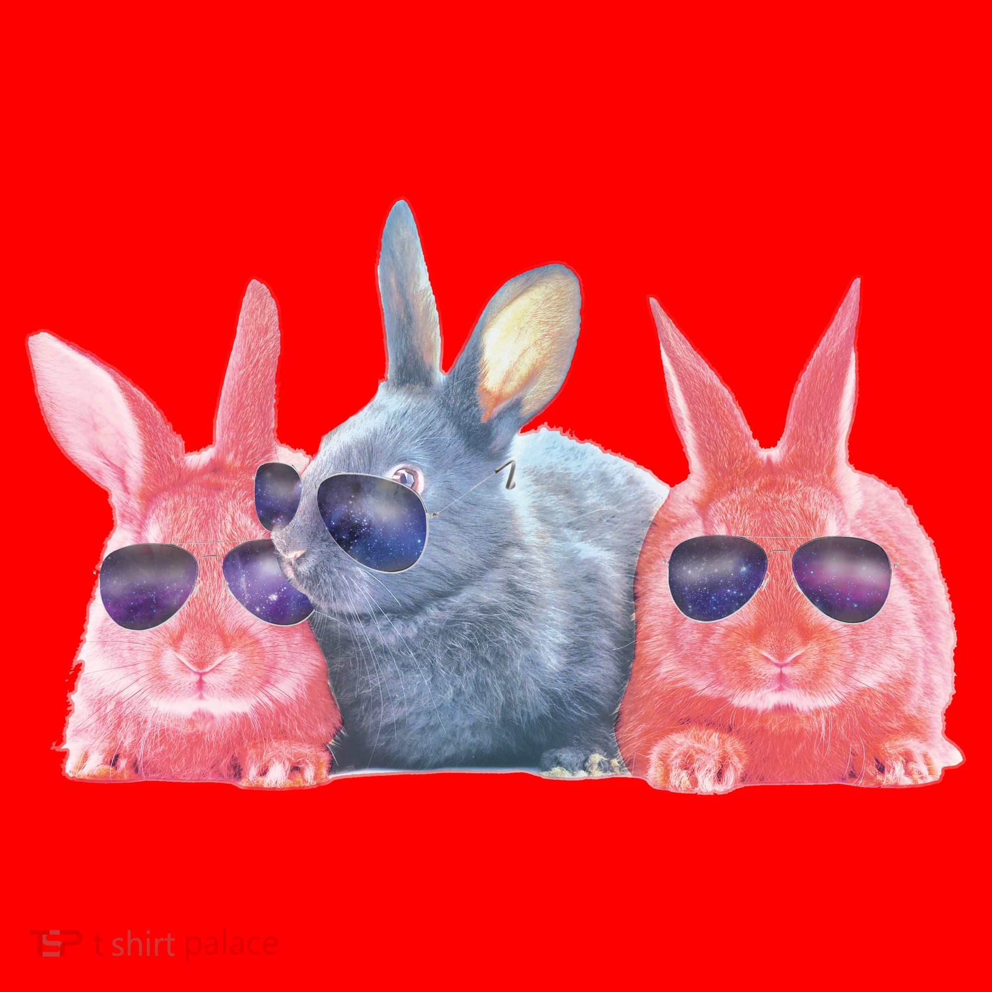Rabbit Galaxy Cool Santa Hat