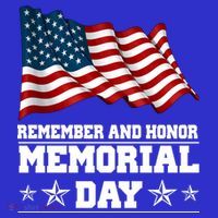 Remember And Honor Memorial Day Patriot Toddler Hoodie thumb 2