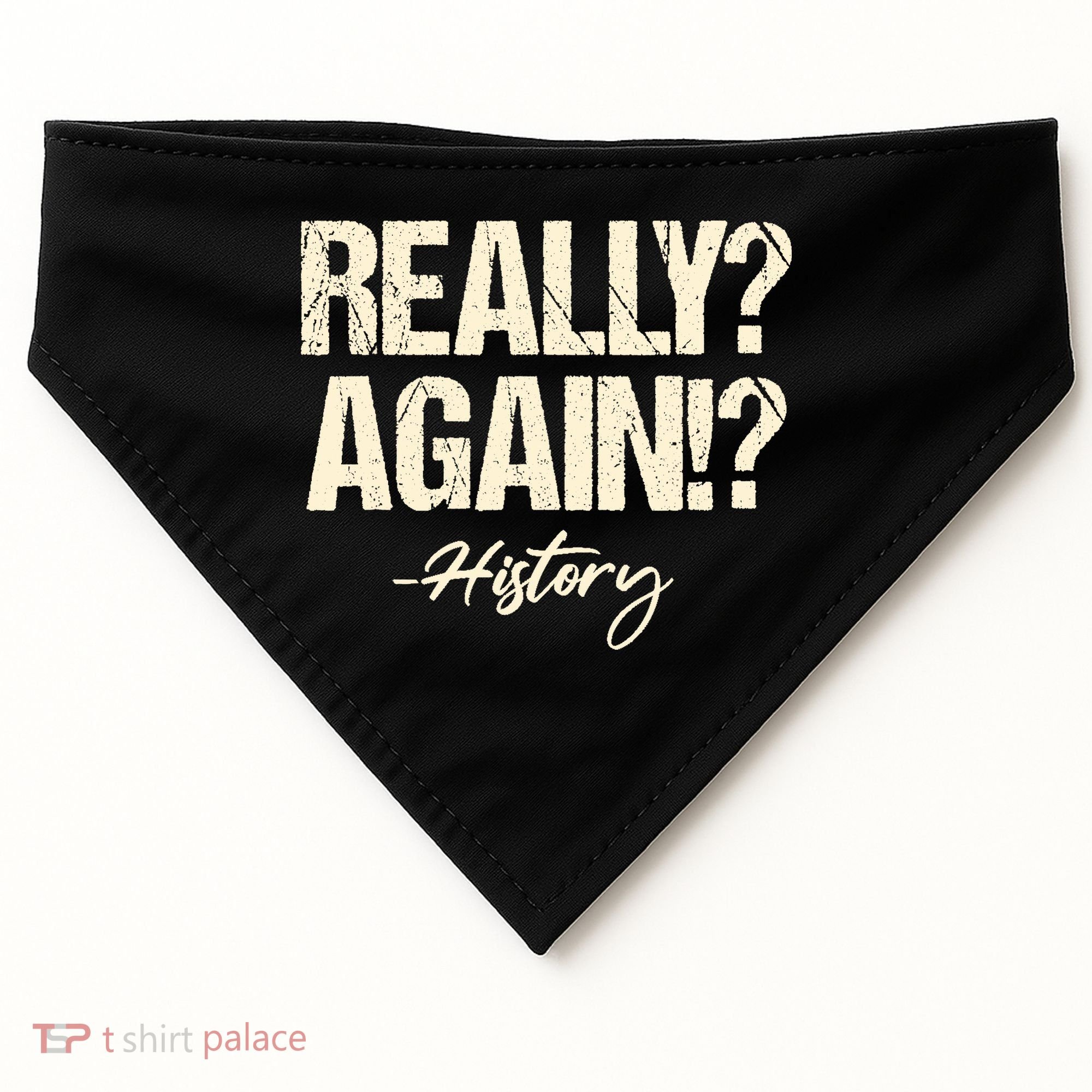 Really? Again!? History Teacher Historical Book Student USA-Made Doggie Bandana