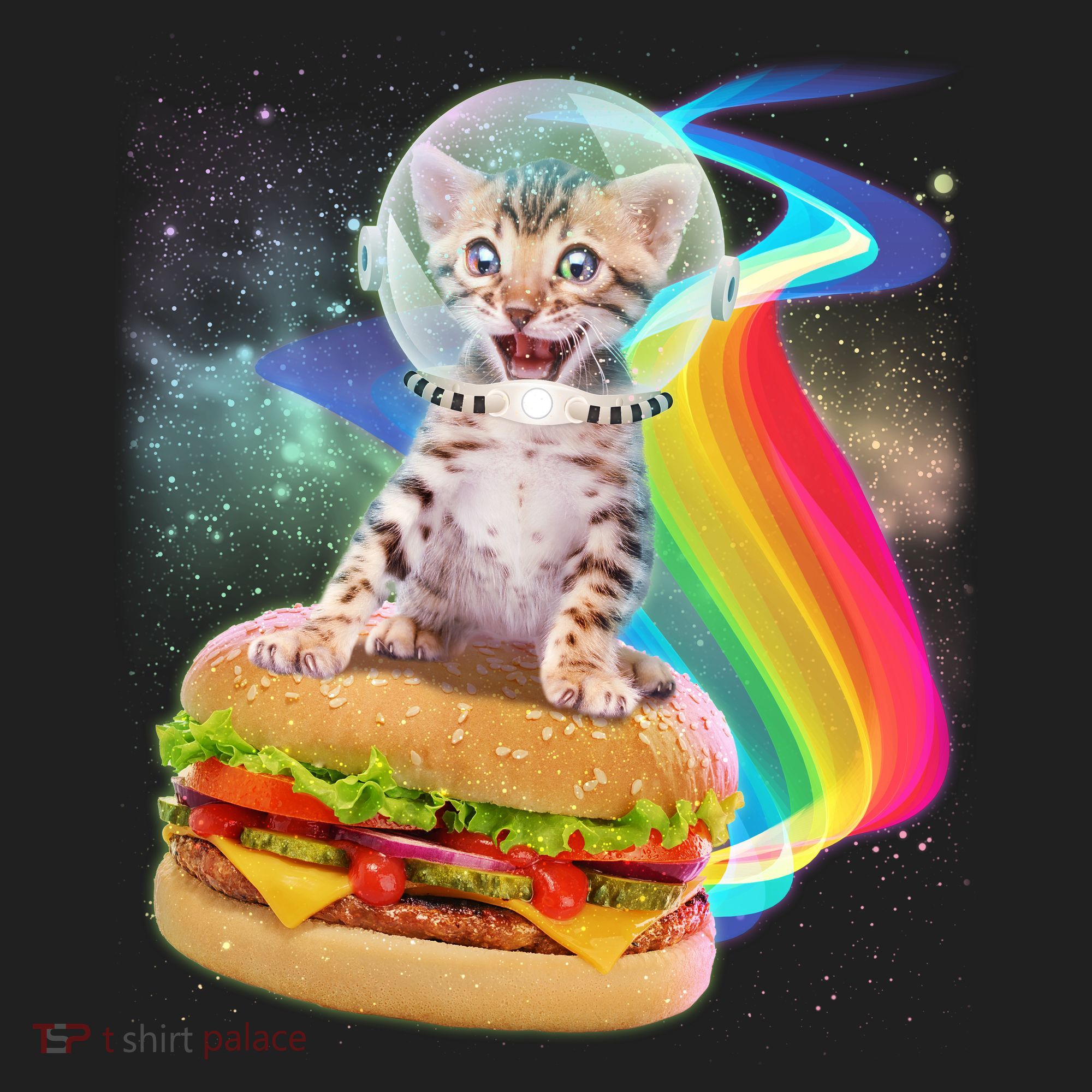 Rainbow Burger Space Cat Tumbler